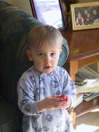 Img_0029