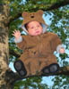 bear tree